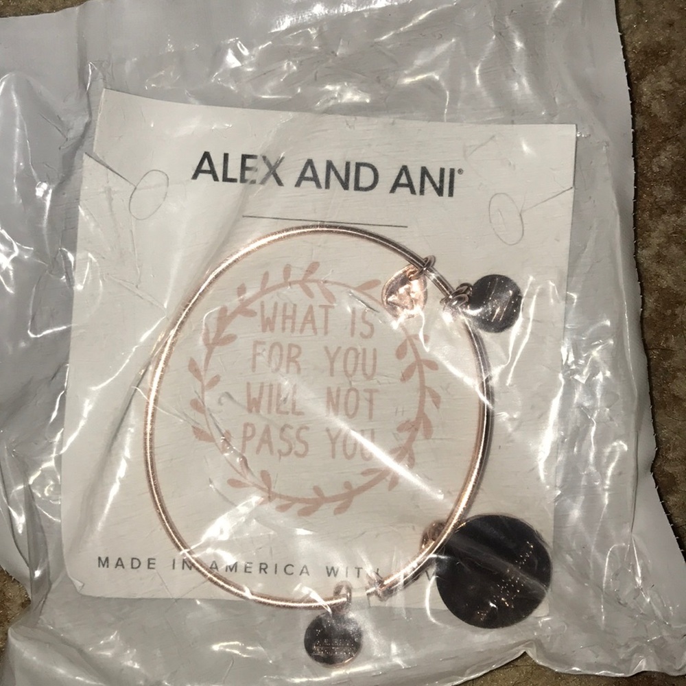 Alex and ani bracelet